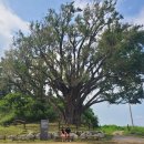 볼소리 펜션 이미지