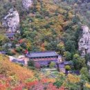 전남 23바 1244 | 봉정암, 해발 1244m 진신사리의 성지를 찾아서