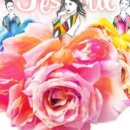 장미의거리8 이미지