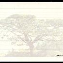 부산연제우체국 이미지