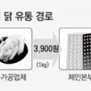제일유통자