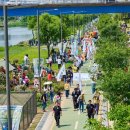 장미의거리3 이미지