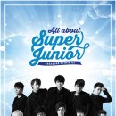 어바웃주니어 bnt뉴스