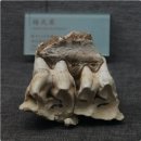 (유)영남자원환경산업 | 中国旧石器时代
