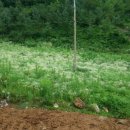 우가농장 이미지