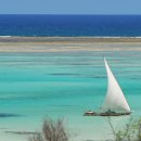 고대1107 이미지