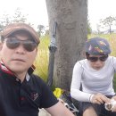 베스트 골프클럽 이미지