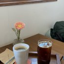 피콜로 라비타 이미지