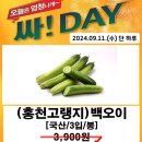 송정마트 티스토리