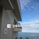 경주 감포비치하우스/ 해루질까지 즐긴 오션뷰 숙소 후기