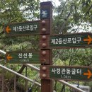 (제308차) 2018년 8월 11일 담양 용추봉,신선봉 산행 이미지