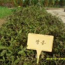 김정기 농장 이미지