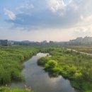 현옥카센타 이미지