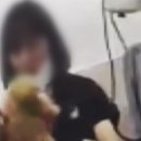 서울애견 미용실 이미지