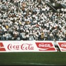 코카coca 이미지