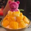 284-1-000055 | 3박 5일 다낭 여행 - 4-5일차 (웃티크카페, 칼디앤모어, 마이아비치바, 랑꾸아씨푸드, 반쎄오꾸어이, 센...