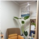 생활속미술이야기 이미지