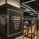 휘트니스컨설팅