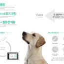 이든동물병원 이미지