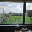 비자림가든 | [제주숙소] 천년비자 펜션 201호 찐 숙박 후기 - 제주 동부 가성비 숙소 추천 비자림인근숙소