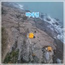 백야리 | 여수 개도 백패킹 천연 온열 돌침대 하룻밤(모기향 필수)