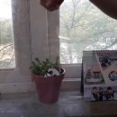 강남영상미디어고등학교 이미지