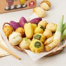 빵사랑과자2호점 | 강릉 꼭 가봐야하는, 정남미명과 구황작물빵 대기후기ㅣ천하제빵 합격의 맛? 오픈런