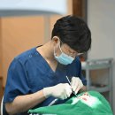 치아세상치과의원 이미지