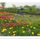 한밭수목원 동원 이미지