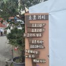 새하얀 모래에 파란 하늘에 넘실대는 파도 부서지는 속초로 가자