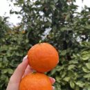 해미수산 이미지