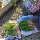 예지경로당 이미지