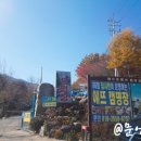 에뜨유명산캠핑장 이미지