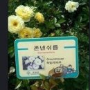 꽃을주는사람 이미지