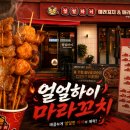 용화고길 | 아산마라꼬치, 얼얼하이마라꼬치 틱톡간식으로 인기많은 마라꼬치 포장후기!