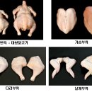 ㈜유창환경 | 대형 닭 생산으로 가슴살 수요 해결 10월 8일 대형육계 생산 현장평가회 개최