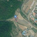 옥천랜드공인중개사사무소 이미지