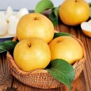 남도팜스 이미지