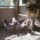 청계1로 이미지