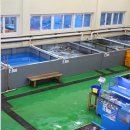 대게타운 이미지