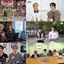 메이트라이즈
