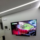 베네스트로즈 이미지