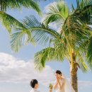 와이키키 이미지