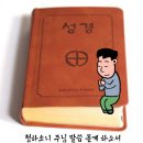 2월 성경읽기 입니다(안창호신부) 이미지