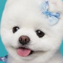 건강한 아리농장 이미지