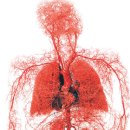 라인한의원 이미지