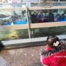 세교 노래연습장 이미지