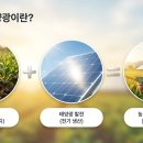 라이프영농조합법인 (라이프영농1태양광발전소) | [농촌의 새로운 미래] "햇빛 연금" 시대가 온다! 영농형 태양광의 모든 것 (2026 최신판)