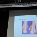 강남스탠다드정형외과 이미지