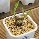 오두농장 이미지